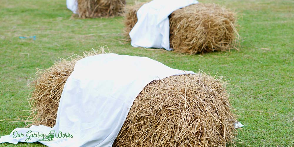 Can You Cover New Grass Seed With Straw