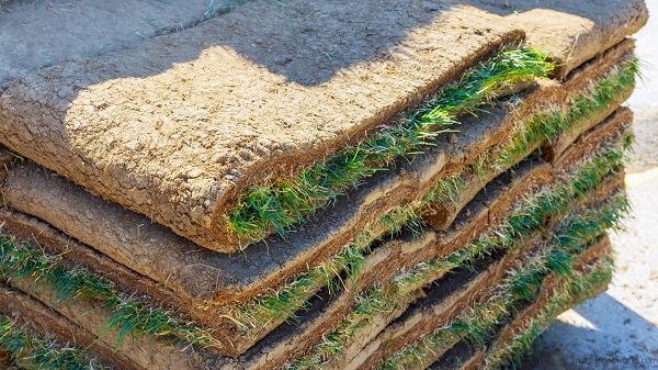 Sod in a slab.