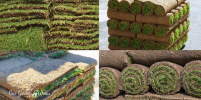 How Many Square Feet Is A Pallet Of Sod For Covering Lawns?