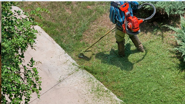 Excessive mowing can also cause grass injury.