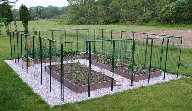 Fence up to keep deer at bay. 