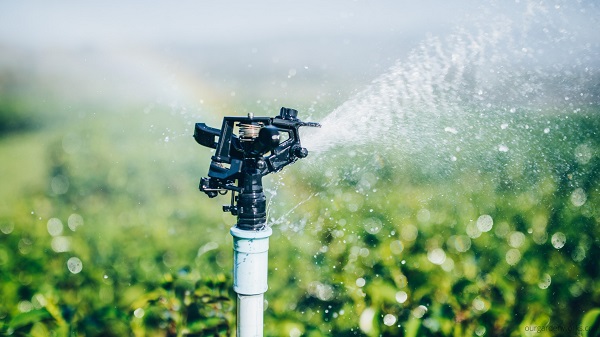 Motion-activated sprinklers.
