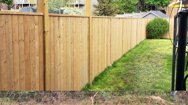 Privacy fence.