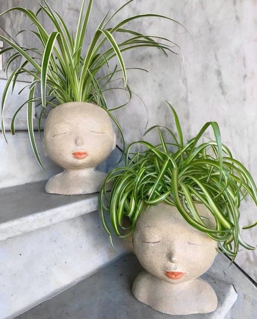 Spider plants looking like hair to head-like pots
