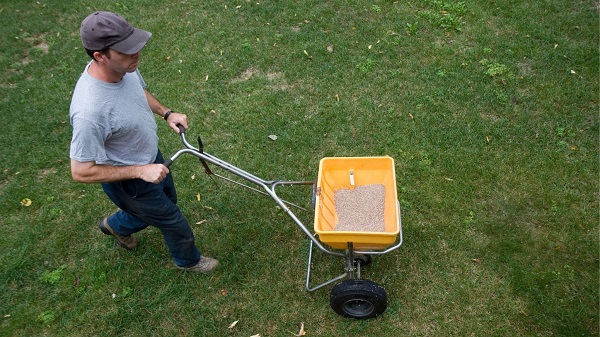 When to fertilize lawn based on grass type