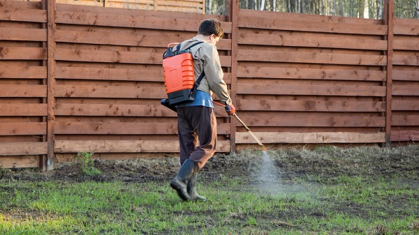 Why weed & feed herbicide not ideal for lawns.
