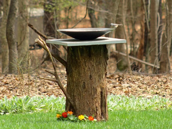 Birdbath on a stump