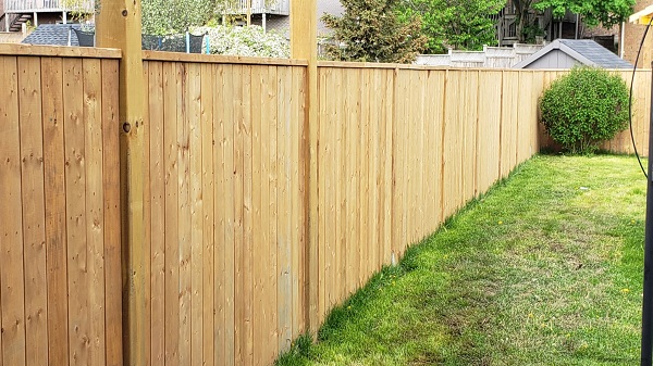 Fencing your property will help you keep burrowing pests at bay. 