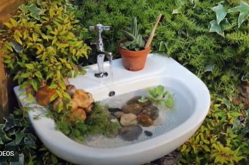 Sink bird bath.