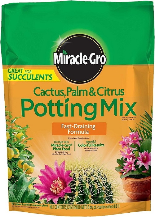 Cactus and succulent potting mix