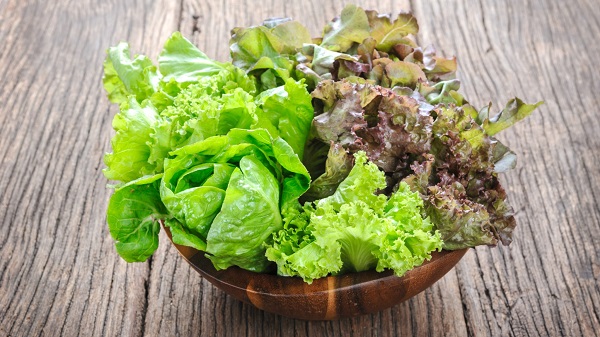 Harvesting lettuce by the leaves