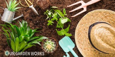 How to Start a Garden from Scratch: A Step-by-Step Guide for Beginners