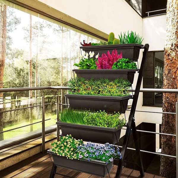 Raised Garden Beds - How to Start a Garden from Scratch