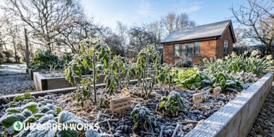 Frost Dates Lookup Tool — Spring & Fall Frost Dates by ZIP Code