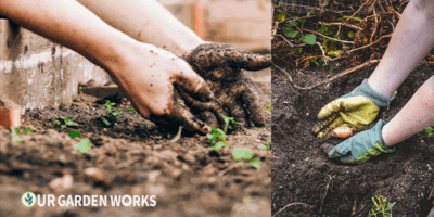 Garden Soil Guide: Fix Your Soil, Grow Better Plants