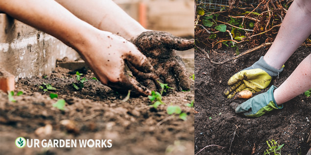 garden soil guide