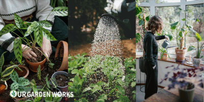 Plant Care Guide: Keep Every Plant Thriving Year-Round