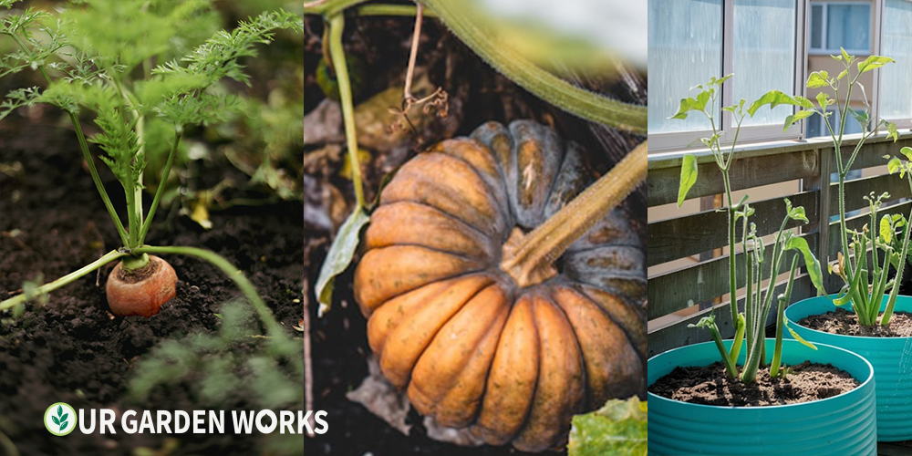 Vegetable Gardening Guide