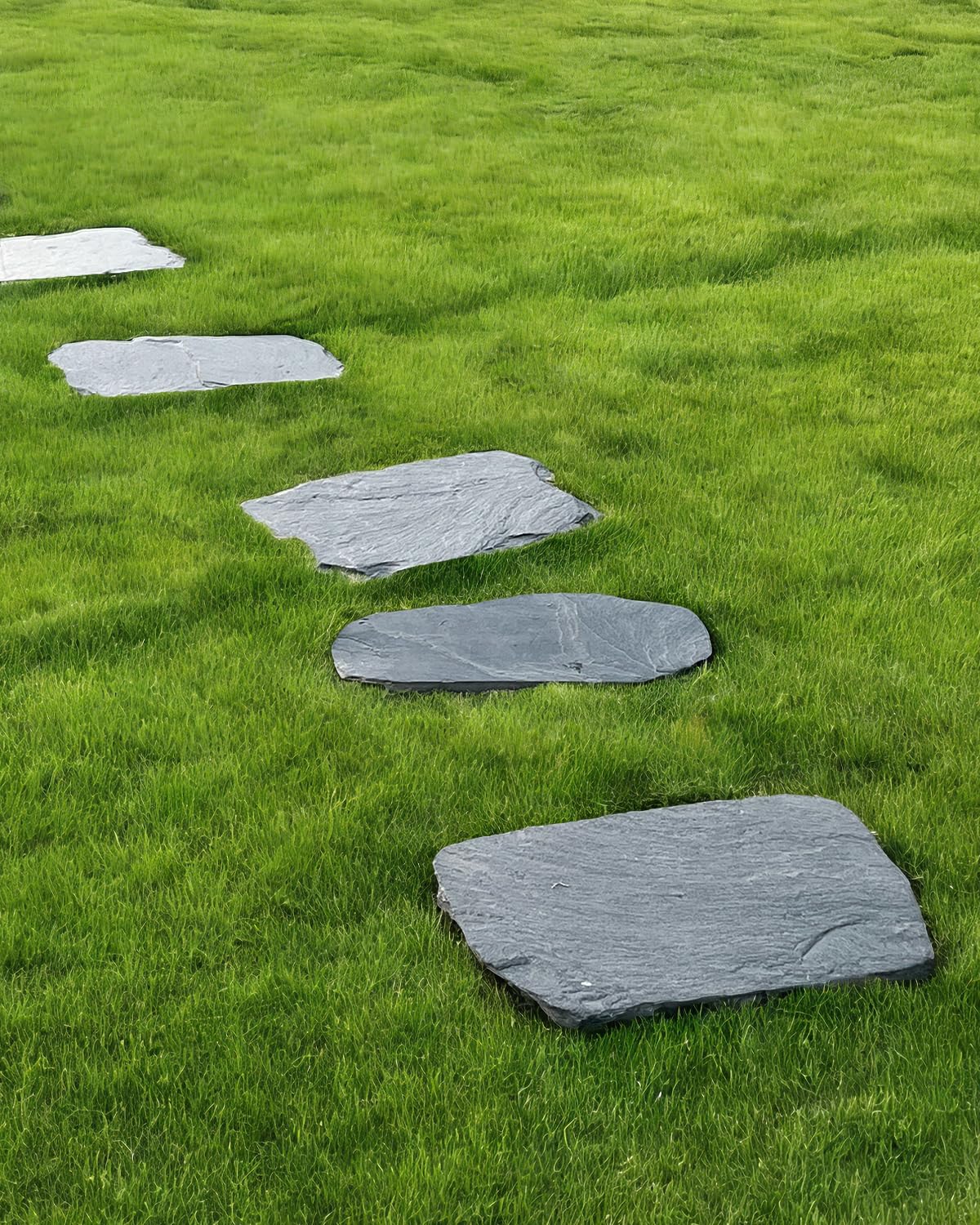 Biotolot Irregular Bluestone Stepping Stones 