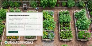 Vegetable Garden Planner — Layout, Spacing & How Many Plants Fit